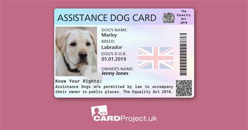 Assistance Dog Identification Card