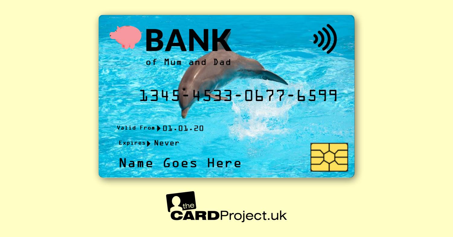 Kids Dolphin Toy Credit Card