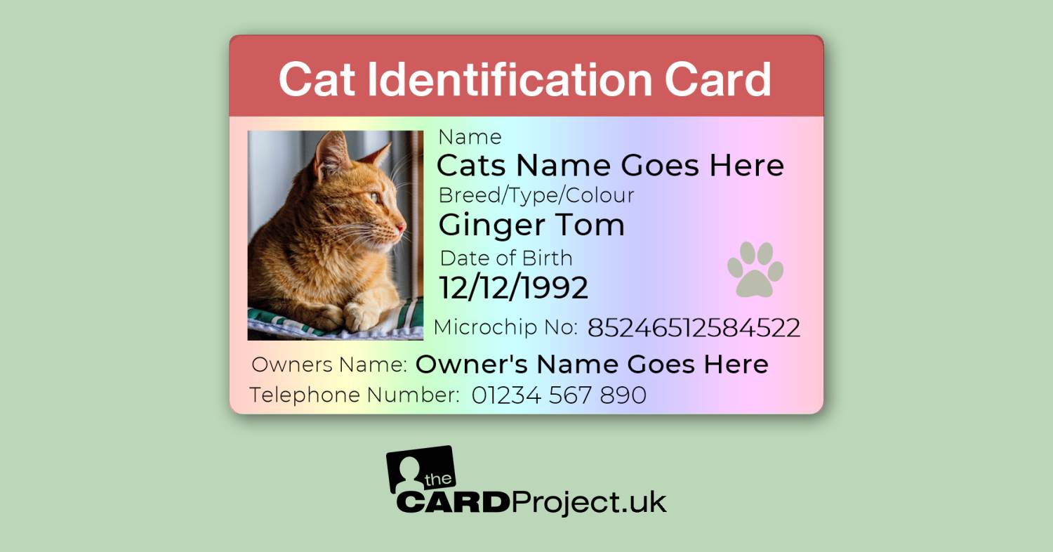 Full Cat ID Card With Photo, Microchip And Contacts (FRONT)