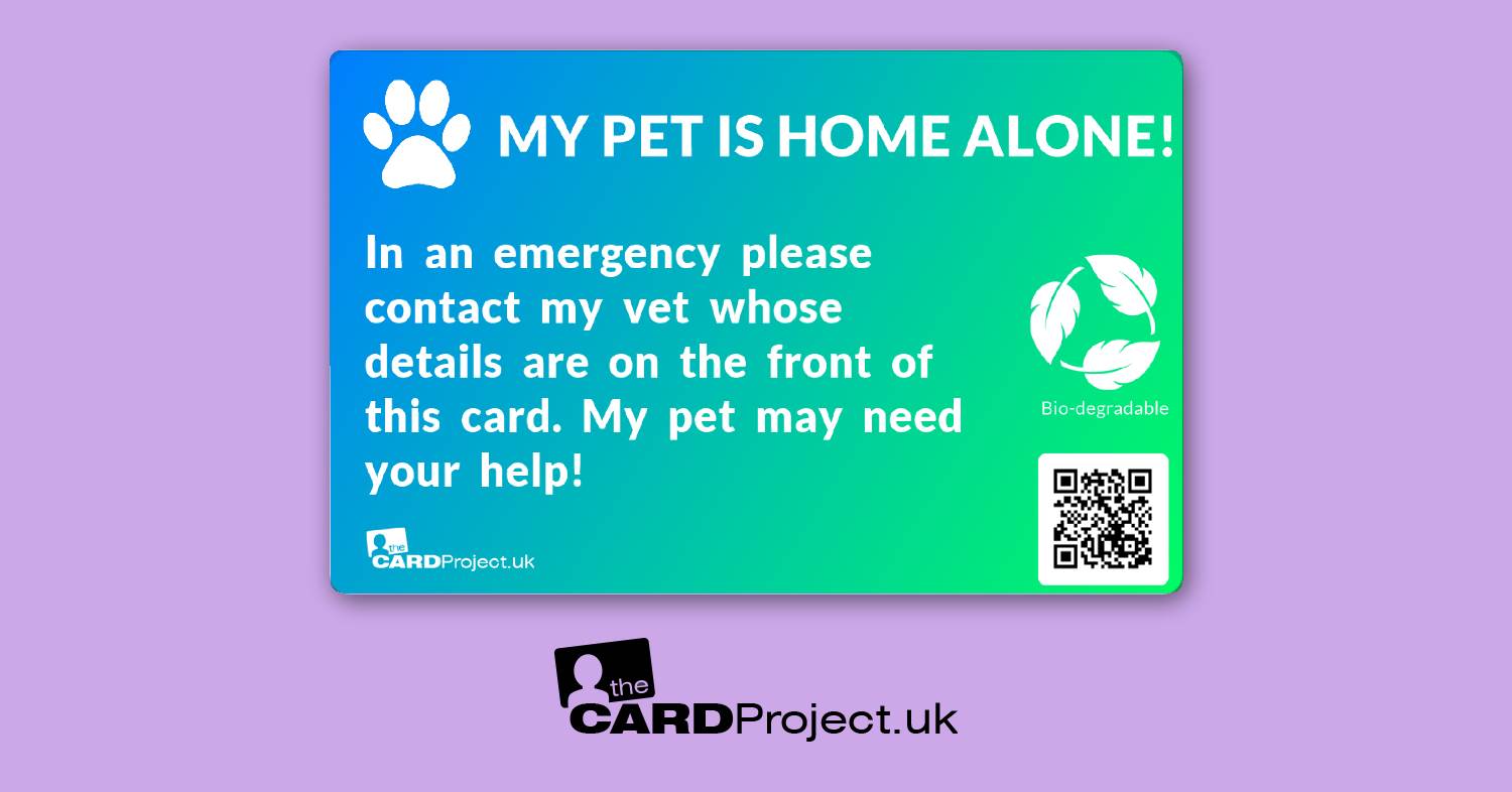 My Pet is Home Alone Photo Card, Vet Design (REAR)