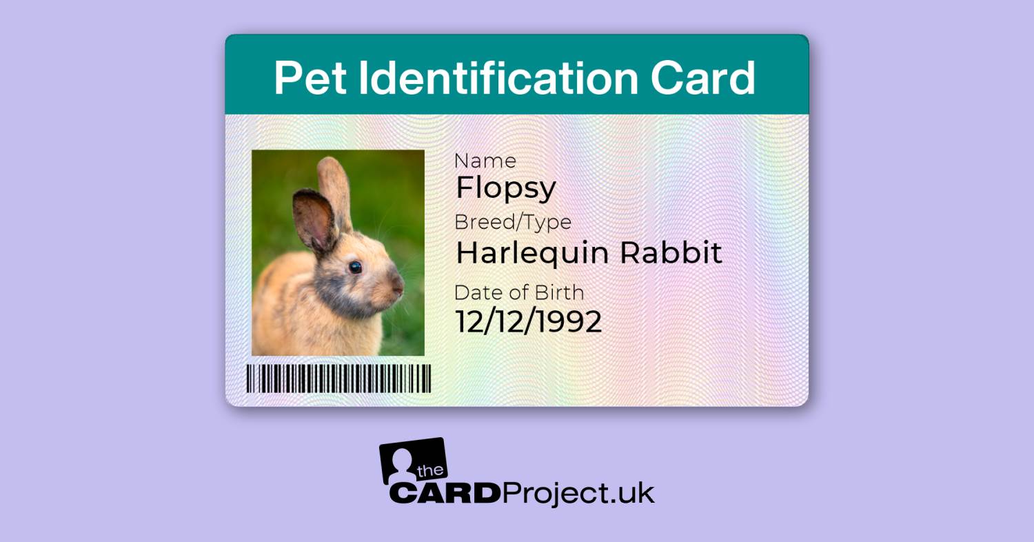 Pet ID Card