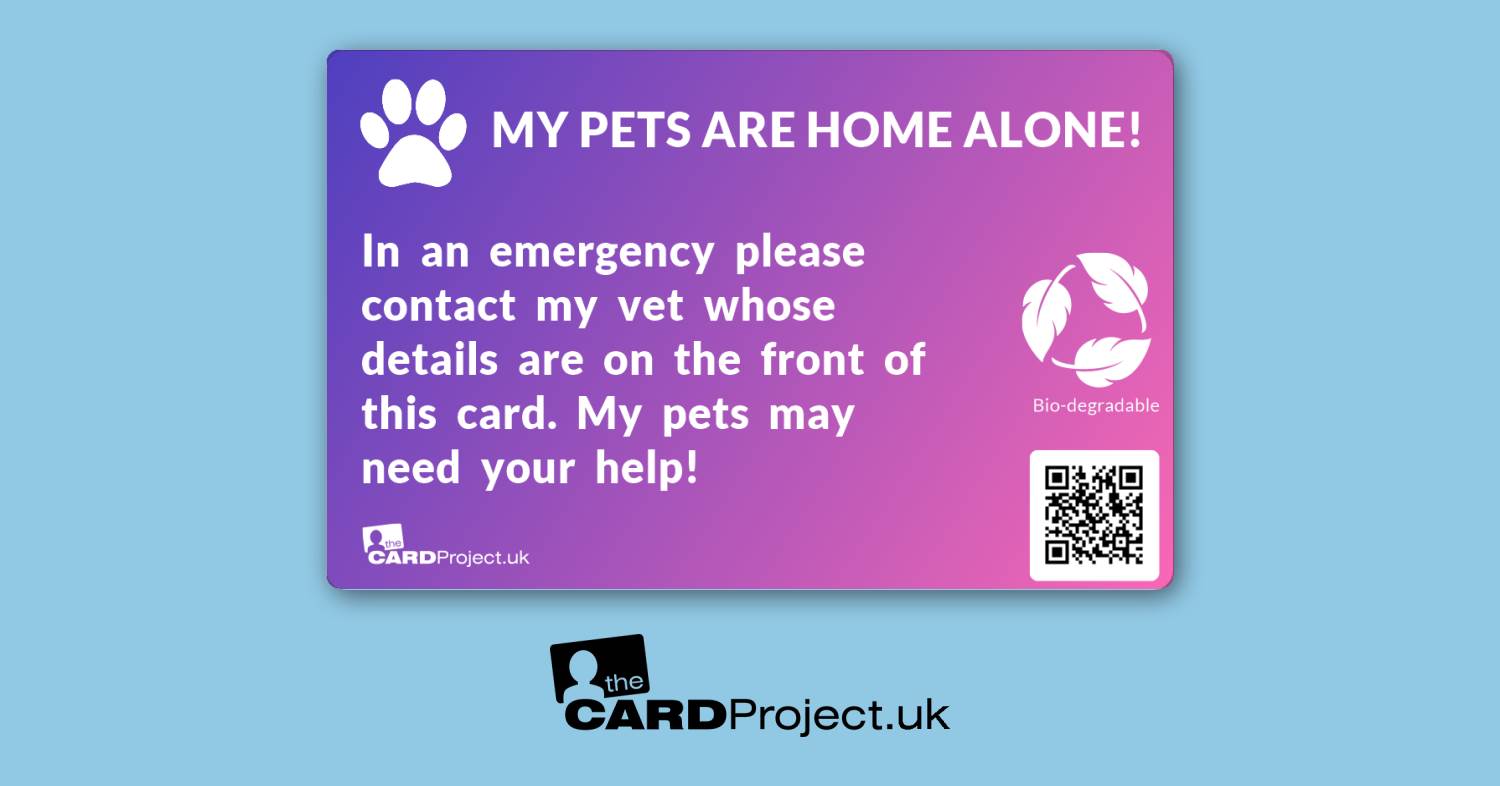 My Pets Are Home Alone Photo Card, Vet Contact Design (REAR)