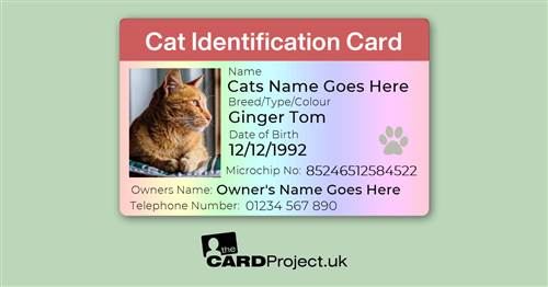 Full Cat ID Card With Photo, Microchip And Contacts (FRONT)