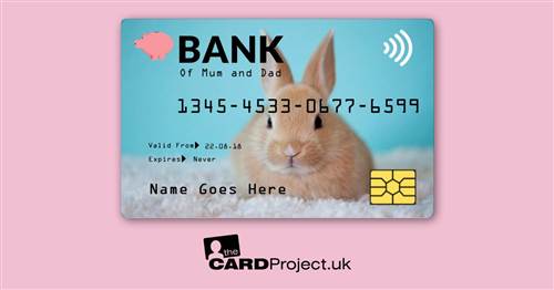 Kids Bunny Toy Credit Card