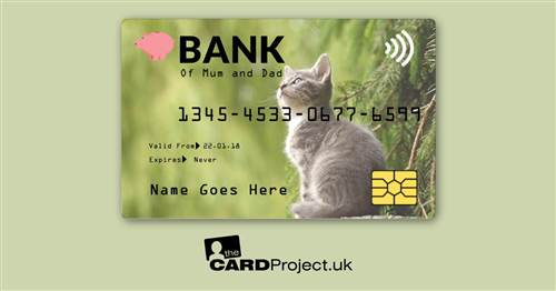 Kids Kitten Toy Credit Card