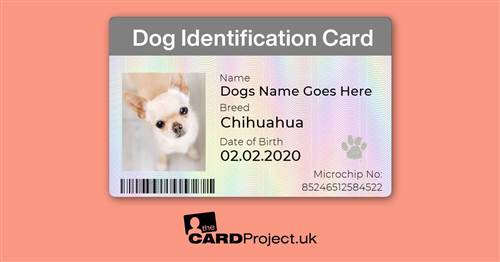 Dog Identification Card