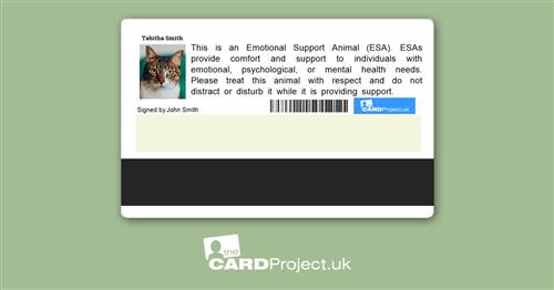 Emotional Support Animal (REAR)