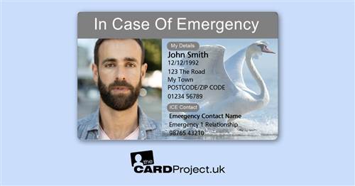 ICE Card Swan Design