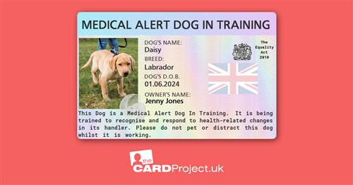 Medical Alert Dog In Training Card (FRONT)