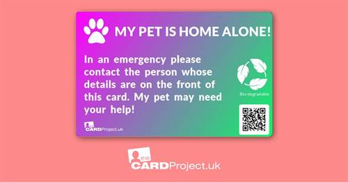 My Pet is Home Alone Photo Card, Emergency Contact Design (REAR)