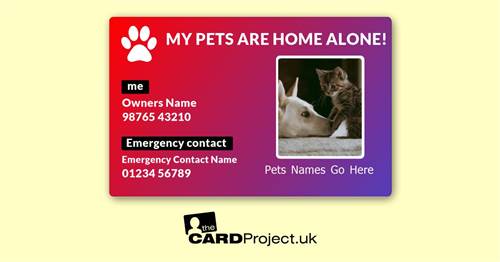 My Pets Are Home Alone Photo Card, Emergency Contact Design  (FRONT)