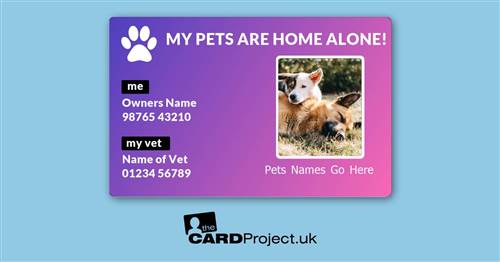 My Pets Are Home Alone Photo Card, Vet Contact Design (FRONT)