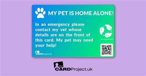 My Pet is Home Alone Photo Card, Vet Design (REAR)